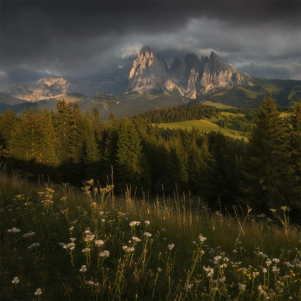 enricofossatiraininthedolomites Zolan Agency