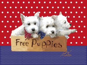 zolan free puppies