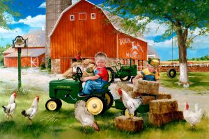 donald zolan growing up country