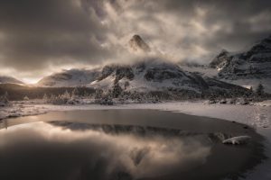 enrico fossati frosted