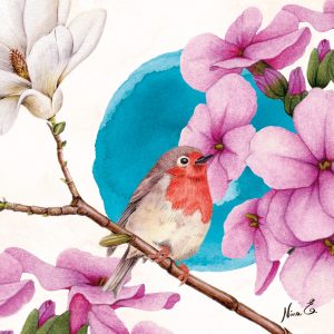 YUME Bird on branch watercolor