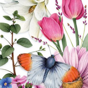 Yume Butterfly watercolor