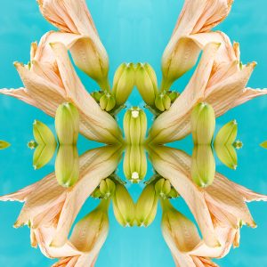 erin derby floral photography