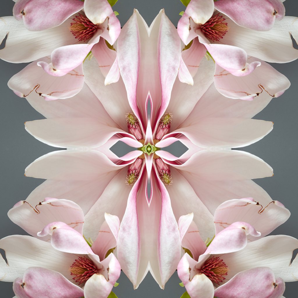 erin derby floral white lilies