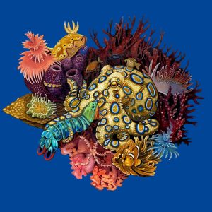 Whimsical Wildlife Coral Reef