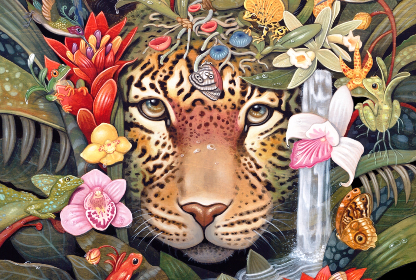 zolan-agency-social-licensing-shane-koehler